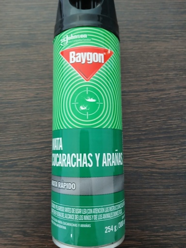 [111185] BAYGON CUCARACHAS Y ARAÑAS